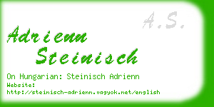 adrienn steinisch business card